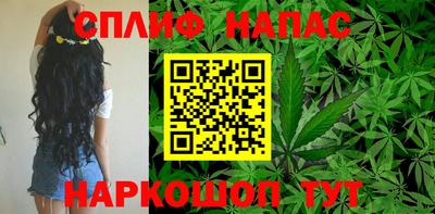 молекула духа Волжский